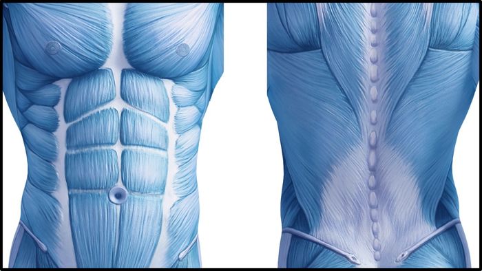 Core trong thể hình và sức khỏe